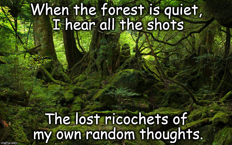 My Forest | When the forest is quiet, I hear all the shots; The lost ricochets of my own random thoughts. | image tagged in forest,thoughts,quiet,mind,nature,alone | made w/ Imgflip meme maker