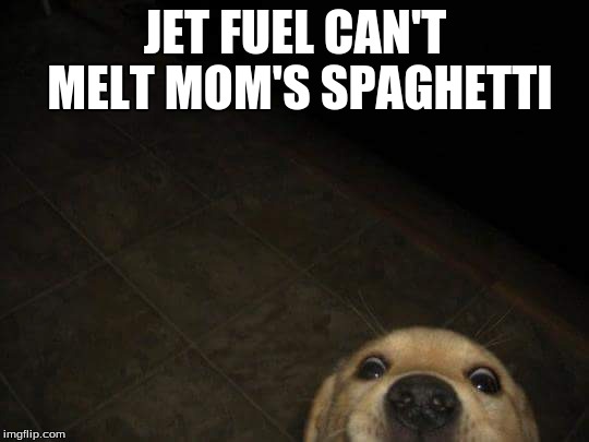 JET FUEL CAN'T MELT
MOM'S SPAGHETTI | image tagged in dank meme,mom's spaghetti,jet fuel,steel beams,doggo,doge | made w/ Imgflip meme maker