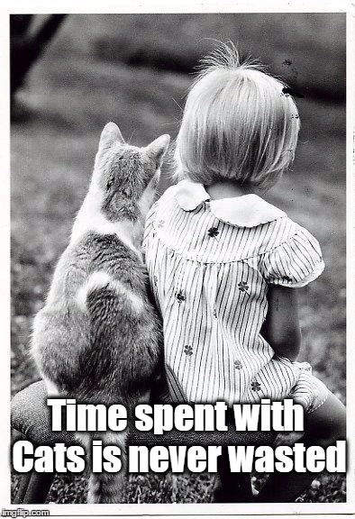 Time spent with Cats is never wasted | image tagged in time spent with cats is never wasted | made w/ Imgflip meme maker