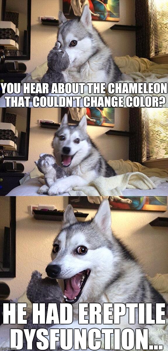 Bad Pun Dog Meme | YOU HEAR ABOUT THE CHAMELEON THAT COULDN'T CHANGE COLOR? HE HAD EREPTILE DYSFUNCTION... | image tagged in memes,bad pun dog | made w/ Imgflip meme maker