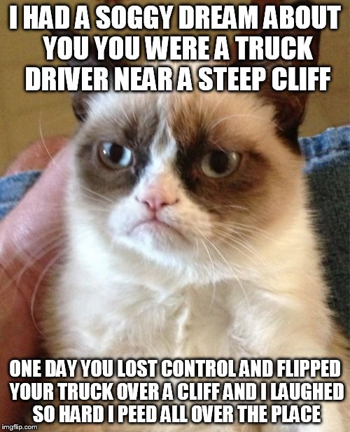 Grumpy Cat | I HAD A SOGGY DREAM ABOUT YOU YOU WERE A TRUCK DRIVER NEAR A STEEP CLIFF; ONE DAY YOU LOST CONTROL AND FLIPPED YOUR TRUCK OVER A CLIFF AND I LAUGHED SO HARD I PEED ALL OVER THE PLACE | image tagged in memes,grumpy cat | made w/ Imgflip meme maker