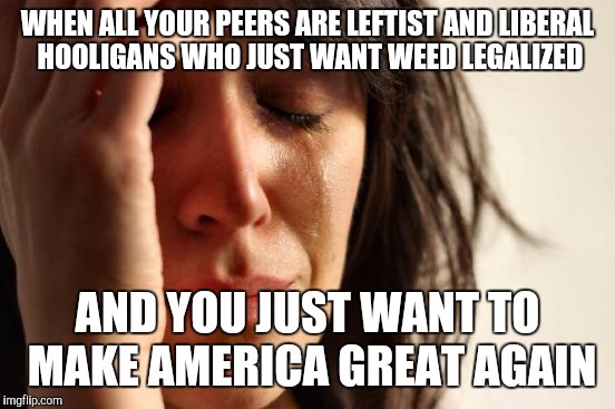 First World Problems | WHEN ALL YOUR PEERS ARE LEFTIST AND LIBERAL HOOLIGANS WHO JUST WANT WEED LEGALIZED; AND YOU JUST WANT TO MAKE AMERICA GREAT AGAIN | image tagged in memes,first world problems | made w/ Imgflip meme maker