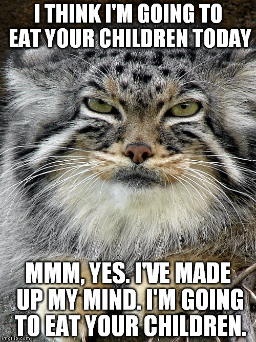I THINK I'M GOING TO EAT YOUR CHILDREN TODAY; MMM, YES. I'VE MADE UP MY MIND. I'M GOING TO EAT YOUR CHILDREN. | image tagged in evil looking cat | made w/ Imgflip meme maker