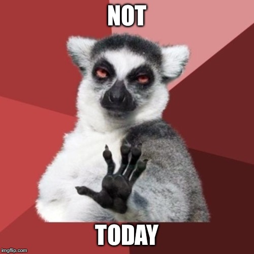 Chill Out Lemur Meme | NOT; TODAY | image tagged in memes,chill out lemur | made w/ Imgflip meme maker