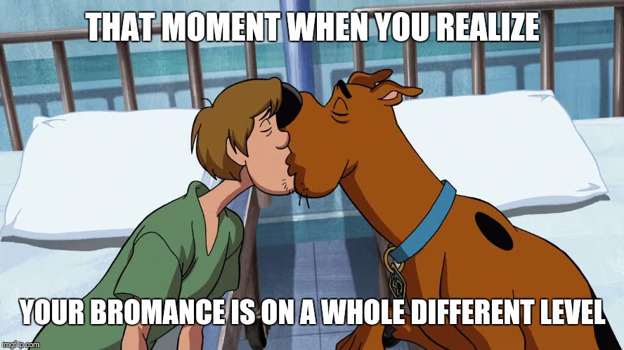 Way past bromance | THAT MOMENT WHEN YOU REALIZE; YOUR BROMANCE IS ON A WHOLE DIFFERENT LEVEL | image tagged in bromance,scooby doo,shaggy | made w/ Imgflip meme maker
