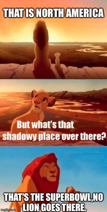 Simba Shadowy Place Meme | THAT IS NORTH AMERICA; THAT'S THE SUPERBOWL,NO LION GOES THERE. | image tagged in memes,simba shadowy place | made w/ Imgflip meme maker