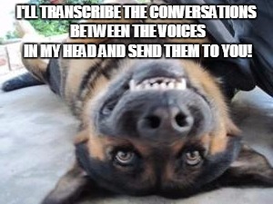 Crazy dog | I'LL TRANSCRIBE THE CONVERSATIONS BETWEEN THE VOICES IN MY HEAD AND SEND THEM TO YOU! | image tagged in crazy dog | made w/ Imgflip meme maker