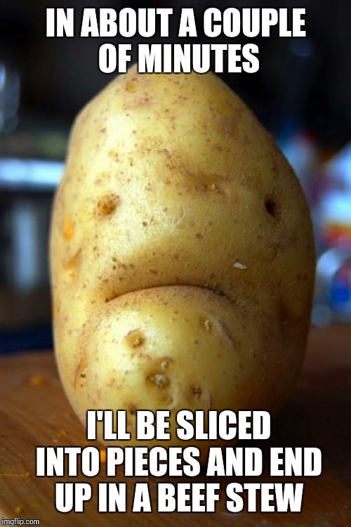 sad potato | IN ABOUT A COUPLE OF MINUTES; I'LL BE SLICED INTO PIECES AND END UP IN A BEEF STEW | image tagged in sad potato | made w/ Imgflip meme maker