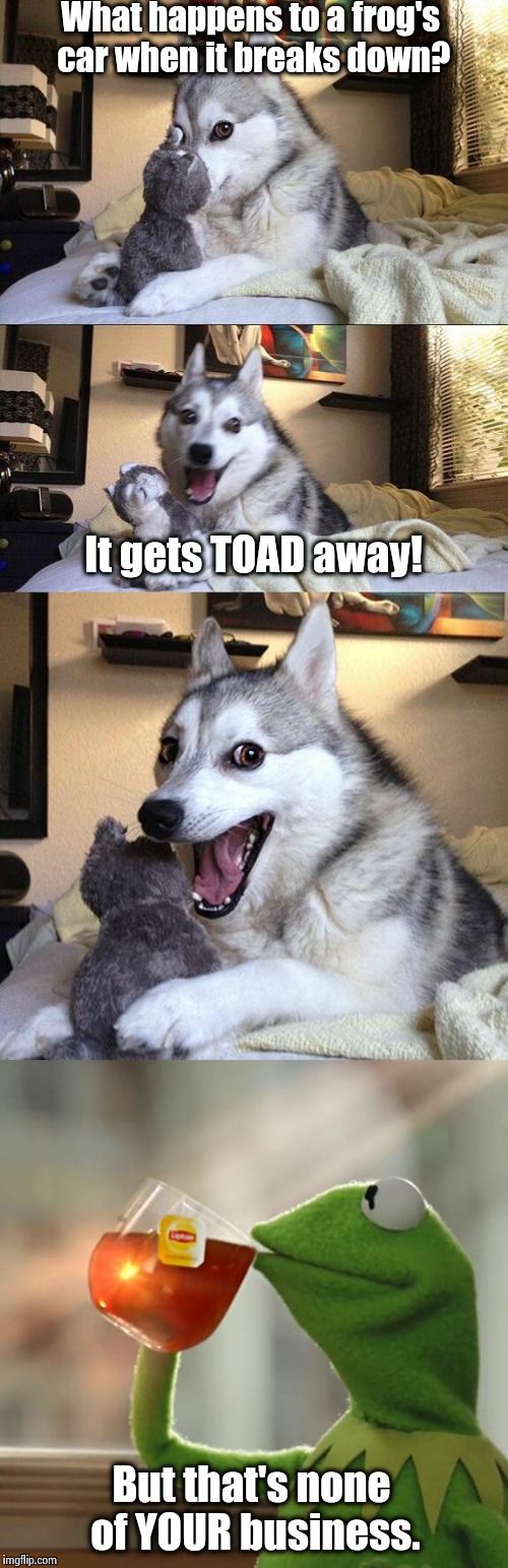 But that's none of YOUR business. | What happens to a frog's car when it breaks down? It gets TOAD away! But that's none of YOUR business. | image tagged in memes,hybrid memes,funny memes,funny,but thats none of my business,bad pun dog | made w/ Imgflip meme maker