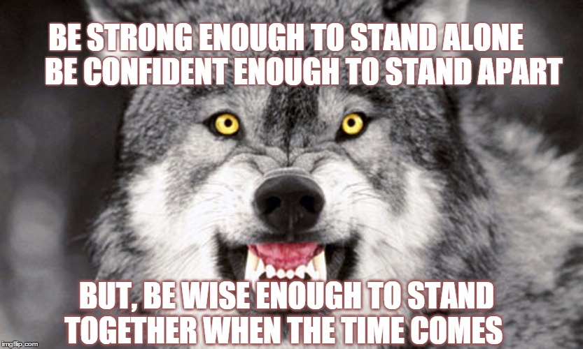 wise | BE STRONG ENOUGH TO STAND ALONE  
   BE CONFIDENT ENOUGH TO STAND APART; BUT, BE WISE ENOUGH TO STAND TOGETHER WHEN THE TIME COMES | image tagged in wolf | made w/ Imgflip meme maker