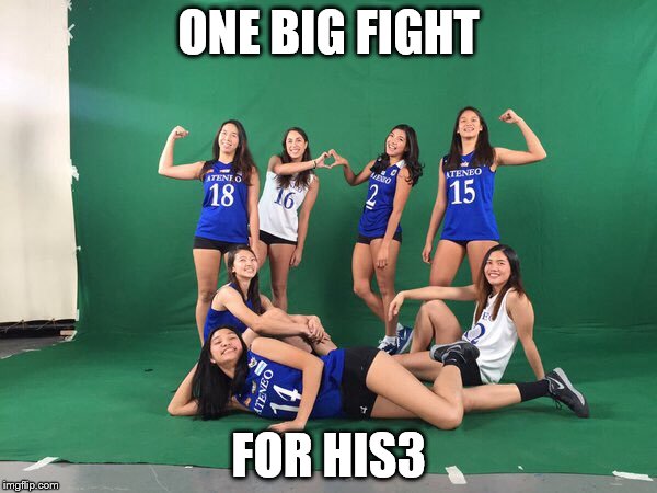 ALE His3 | ONE BIG FIGHT; FOR HIS3 | image tagged in volleyball | made w/ Imgflip meme maker