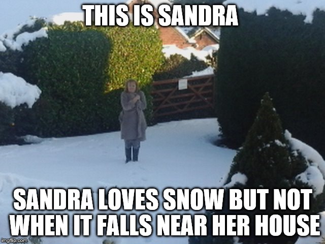 Moo-snow | THIS IS SANDRA; SANDRA LOVES SNOW BUT NOT WHEN IT FALLS NEAR HER HOUSE | image tagged in snow,winter,cold | made w/ Imgflip meme maker
