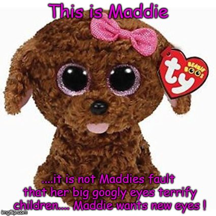 Moo-Maddie | This is Maddie; ....it is not Maddies fault that her big googly eyes terrify children.... Maddie wants new eyes ! | image tagged in dog,cute,eyes | made w/ Imgflip meme maker