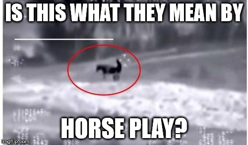 Goat + ISIS | IS THIS WHAT THEY MEAN BY; HORSE PLAY? | image tagged in goat  isis | made w/ Imgflip meme maker