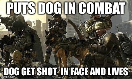 Call of duty 6 | PUTS DOG IN COMBAT; DOG GET SHOT  IN FACE AND LIVES | image tagged in call of duty 6 | made w/ Imgflip meme maker