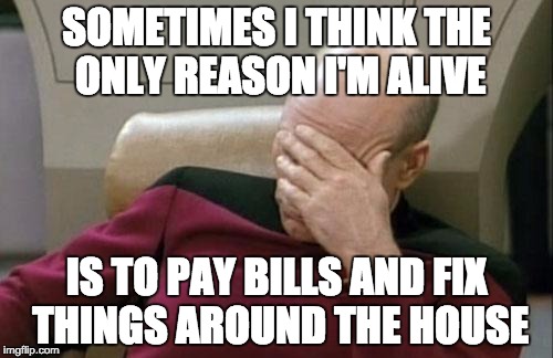 Captain Picard Facepalm | SOMETIMES I THINK THE ONLY REASON I'M ALIVE; IS TO PAY BILLS AND FIX THINGS AROUND THE HOUSE | image tagged in memes,captain picard facepalm | made w/ Imgflip meme maker