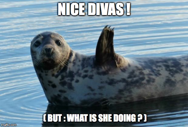 Seal | NICE DIVAS ! ( BUT : WHAT IS SHE DOING ? ) | image tagged in seal | made w/ Imgflip meme maker