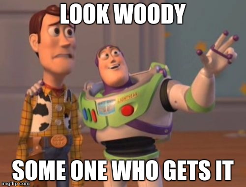 X, X Everywhere Meme | LOOK WOODY SOME ONE WHO GETS IT | image tagged in memes,x x everywhere | made w/ Imgflip meme maker