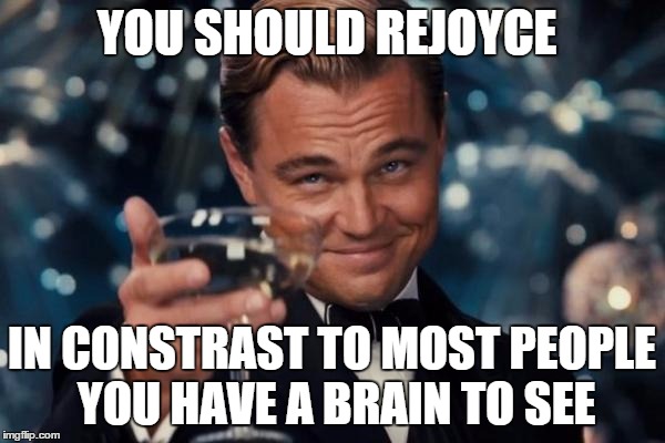 Leonardo Dicaprio Cheers Meme | YOU SHOULD REJOYCE IN CONSTRAST TO MOST PEOPLE YOU HAVE A BRAIN TO SEE | image tagged in memes,leonardo dicaprio cheers | made w/ Imgflip meme maker