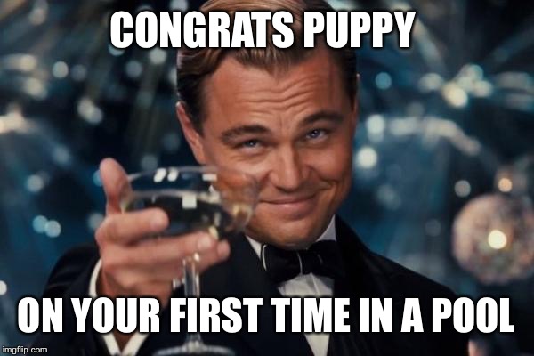 Leonardo Dicaprio Cheers Meme | CONGRATS PUPPY ON YOUR FIRST TIME IN A POOL | image tagged in memes,leonardo dicaprio cheers | made w/ Imgflip meme maker