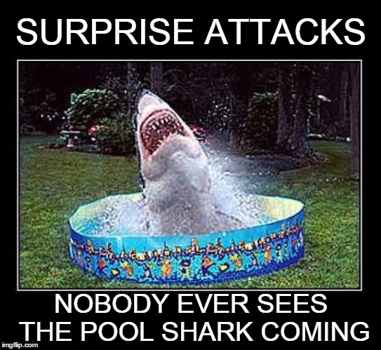 We're gonna need a bigger pool... | SURPRISE ATTACKS; NOBODY EVER SEES THE POOL SHARK COMING | image tagged in memes,shark | made w/ Imgflip meme maker