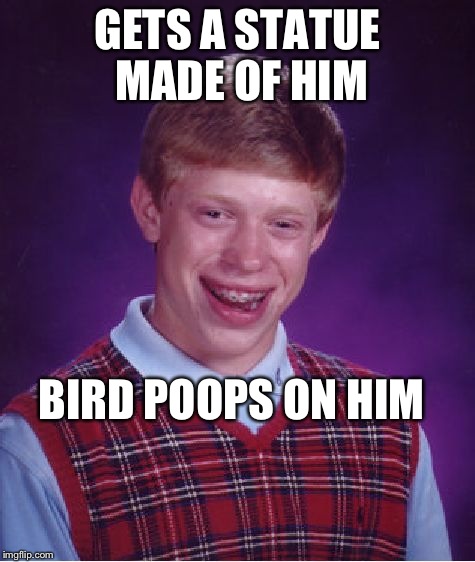 Bad Luck Brian Meme | GETS A STATUE MADE OF HIM; BIRD POOPS ON HIM | image tagged in memes,bad luck brian | made w/ Imgflip meme maker