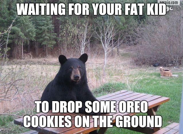 why you problem? | WAITING FOR YOUR FAT KID; TO DROP SOME OREO COOKIES ON THE GROUND | image tagged in why you problem | made w/ Imgflip meme maker