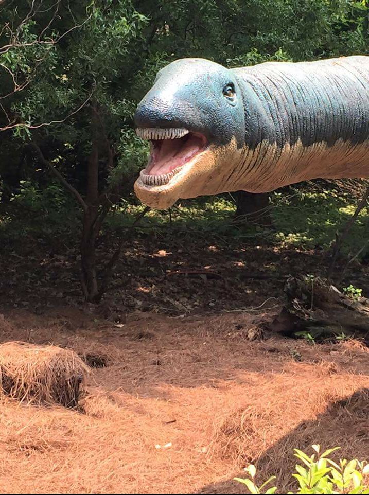 TFW Dino Blank Meme Template