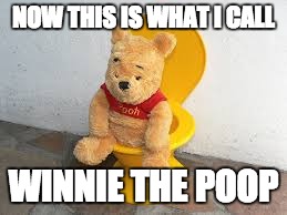winnie the poop | NOW THIS IS WHAT I CALL; WINNIE THE POOP | image tagged in winniethepoop | made w/ Imgflip meme maker