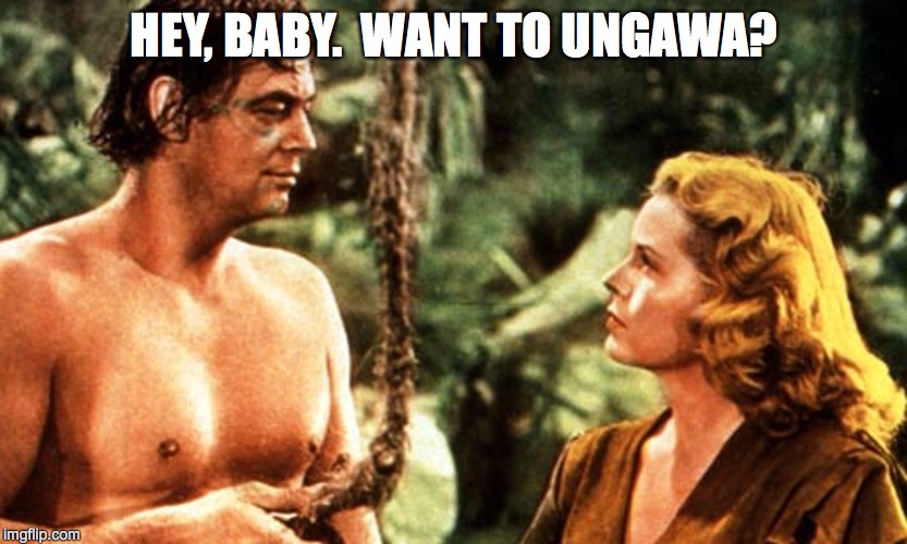Tarzan Got Game | HEY, BABY.  WANT TO UNGAWA? | image tagged in too funny,tarzan,swinging tarzan | made w/ Imgflip meme maker