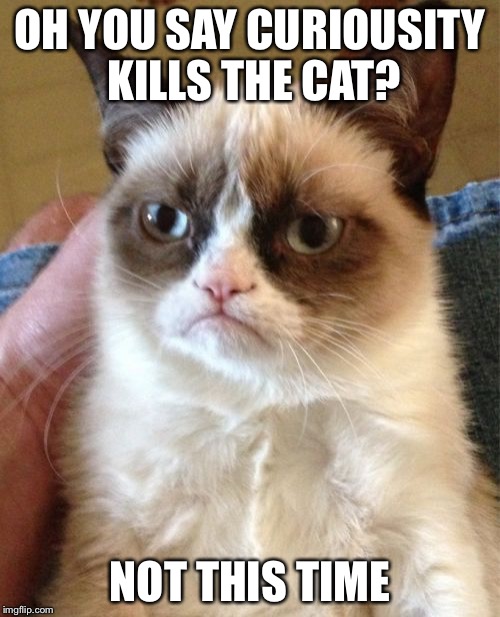 Grumpy Cat Meme | OH YOU SAY CURIOUSITY KILLS THE CAT? NOT THIS TIME | image tagged in memes,grumpy cat | made w/ Imgflip meme maker