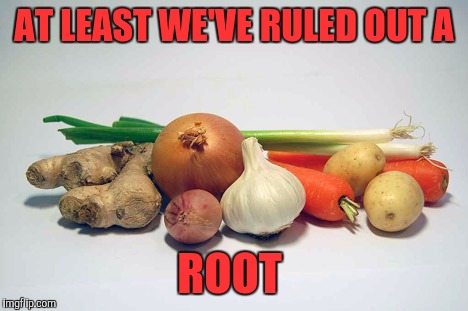 AT LEAST WE'VE RULED OUT A ROOT | made w/ Imgflip meme maker