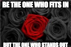 LiveLoveLive | BE THE ONE WHO FITS IN; BUT THE ONE WHO STANDS OUT | image tagged in quotes | made w/ Imgflip meme maker