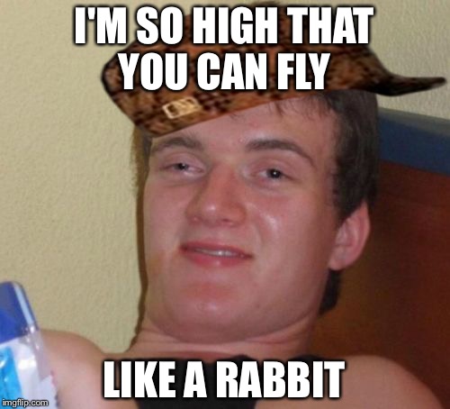 10 Guy | I'M SO HIGH THAT YOU CAN FLY; LIKE A RABBIT | image tagged in memes,10 guy,scumbag | made w/ Imgflip meme maker