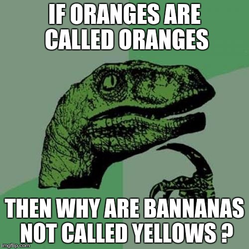 Philosoraptor Meme | IF ORANGES ARE CALLED ORANGES; THEN WHY ARE BANNANAS NOT CALLED YELLOWS ? | image tagged in memes,philosoraptor | made w/ Imgflip meme maker