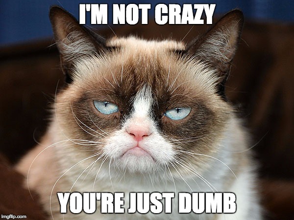 I'M NOT CRAZY; YOU'RE JUST DUMB | image tagged in grumpy_cat_no4 | made w/ Imgflip meme maker