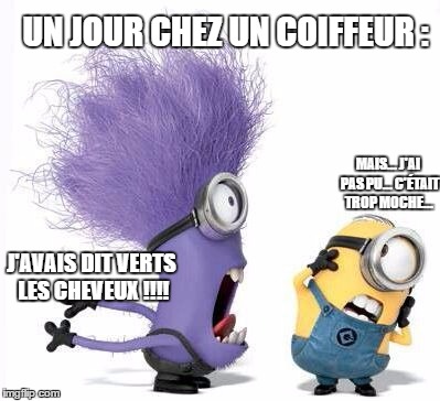 Purple Minion | UN JOUR CHEZ UN COIFFEUR :; MAIS... J'AI PAS PU... C'ÉTAIT TROP MOCHE... J'AVAIS DIT VERTS LES CHEVEUX !!!! | image tagged in purple minion | made w/ Imgflip meme maker