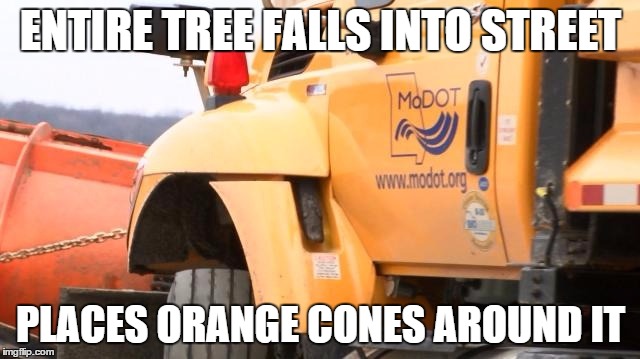 ModotSnowMemes | ENTIRE TREE FALLS INTO STREET; PLACES ORANGE CONES AROUND IT | image tagged in modotsnowmemes | made w/ Imgflip meme maker