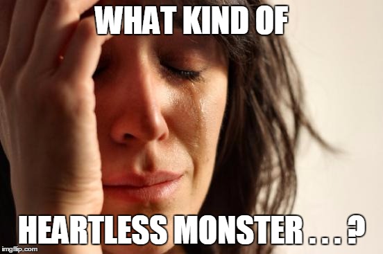 First World Problems Meme | WHAT KIND OF HEARTLESS MONSTER . . . ? | image tagged in memes,first world problems | made w/ Imgflip meme maker