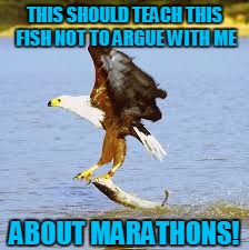 THIS SHOULD TEACH THIS FISH NOT TO ARGUE WITH ME ABOUT MARATHONS! | made w/ Imgflip meme maker