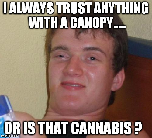 10 Guy Meme | I ALWAYS TRUST ANYTHING WITH A CANOPY..... OR IS THAT CANNABIS ? | image tagged in memes,10 guy | made w/ Imgflip meme maker