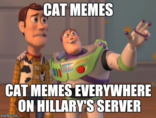 X, X Everywhere Meme | CAT MEMES CAT MEMES EVERYWHERE ON HILLARY'S SERVER | image tagged in memes,x x everywhere | made w/ Imgflip meme maker