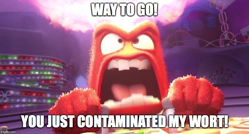 Inside Out Anger | WAY TO GO! YOU JUST CONTAMINATED MY WORT! | image tagged in inside out anger | made w/ Imgflip meme maker