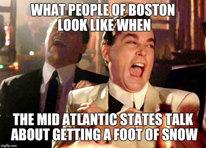 Good Fellas Hilarious Meme | WHAT PEOPLE OF BOSTON LOOK LIKE WHEN; THE MID ATLANTIC STATES TALK ABOUT GETTING A FOOT OF SNOW | image tagged in memes,good fellas hilarious | made w/ Imgflip meme maker