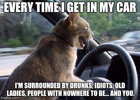 catsale | EVERY TIME I GET IN MY CAR; I'M SURROUNDED BY DRUNKS, IDIOTS, OLD LADIES, PEOPLE WITH NOWHERE TO BE... AND YOU. | image tagged in catsale | made w/ Imgflip meme maker