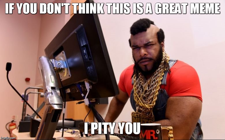 mr t | IF YOU DON'T THINK THIS IS A GREAT MEME I PITY YOU | image tagged in mr t | made w/ Imgflip meme maker
