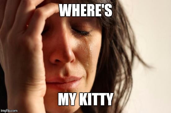 First World Problems Meme | WHERE'S MY KITTY | image tagged in memes,first world problems | made w/ Imgflip meme maker