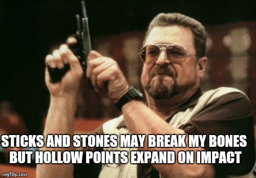 Am I The Only One Around Here | STICKS AND STONES MAY BREAK MY BONES BUT HOLLOW POINTS EXPAND ON IMPACT | image tagged in memes,am i the only one around here | made w/ Imgflip meme maker