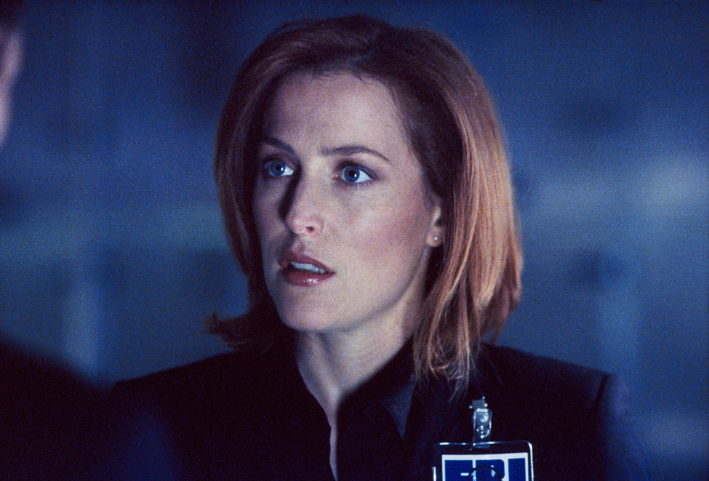 scully Blank Meme Template