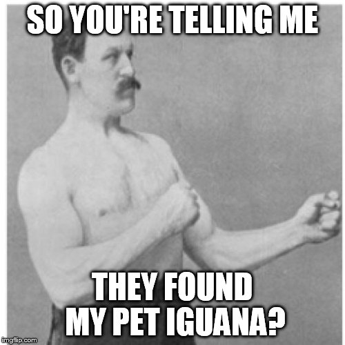 SO YOU'RE TELLING ME THEY FOUND MY PET IGUANA? | made w/ Imgflip meme maker